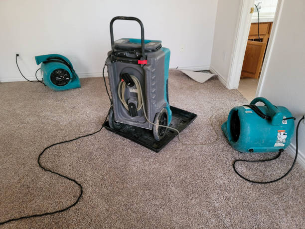Reliable Pace, FL Water damage restoration Solutions