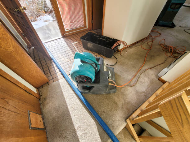 Best Emergency water damage restoration  in Pace, FL