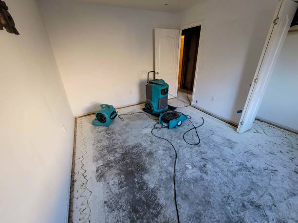 Best Water damage restoration services  in Pace, FL