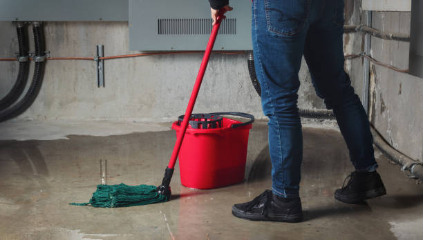 Best Basement water damage restoration  in Pace, FL
