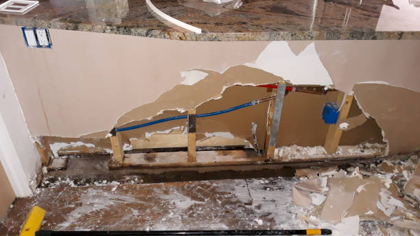Best Professional water damage repair  in Pace, FL