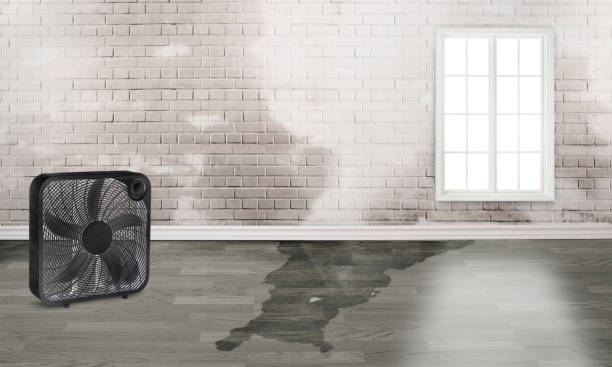 Water damage restoration insurance claims in Pace, FL