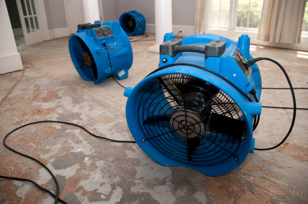 Best Water damage restoration process  in Pace, FL