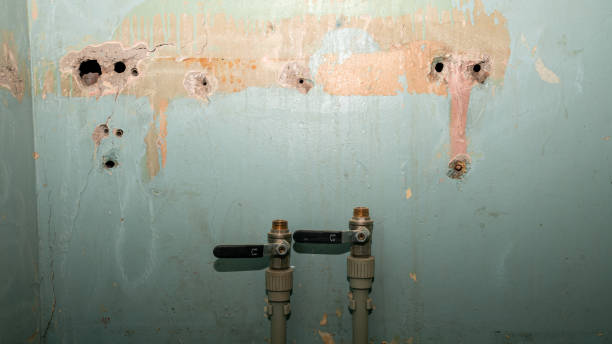 Best Water damage restoration near me  in Pace, FL