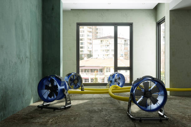 Best Residential water damage restoration  in Pace, FL