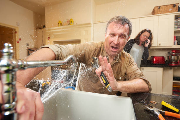 Best Basement water damage restoration  in Pace, FL